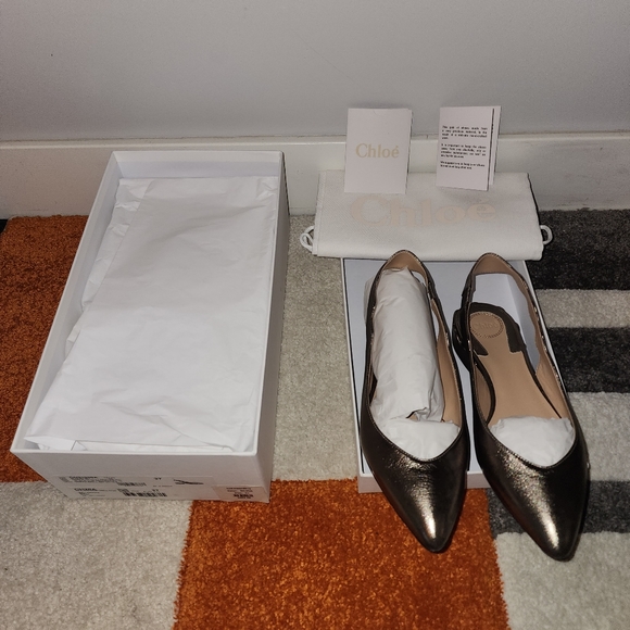 Chloe Laurena Slingback Ballet Flats